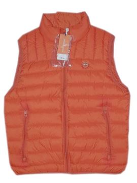 Imagen de Dario Beltran a33